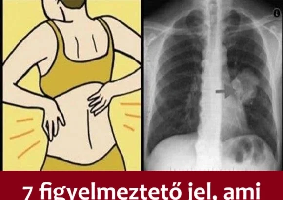 7-figyelmezteto-jel-ami-tudorakra-utal