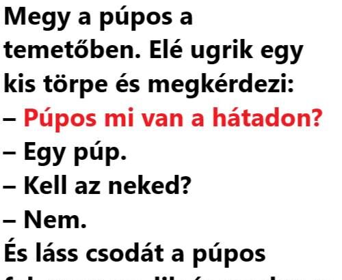 VICC: Megy a púpos a temetőben 462718780_583298280692293_2139200450985919186_n