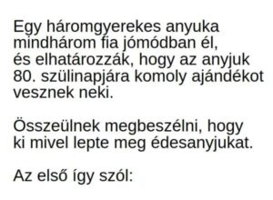 vicc-egy-haromgyerekes-anyuka-harom-fia-elhatarozza-hogy-az-anyjuk-80-szulinapjara-komoly-ajandekot-vesznek-neki_67540eadccdd9