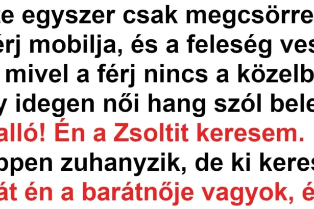 Vicc-Megcsorrent-a-ferj-telefonja-de-a-felesege-vette-fel-jpeg