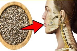 chia-mag