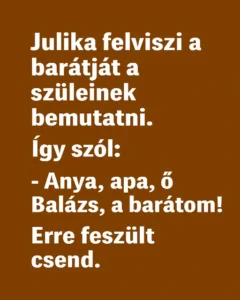 Julika-bemutatja-a-baratjat-a-szuleinek