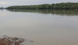 Sulyos-baleset-tortent-a-Dunan