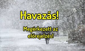 havazas
