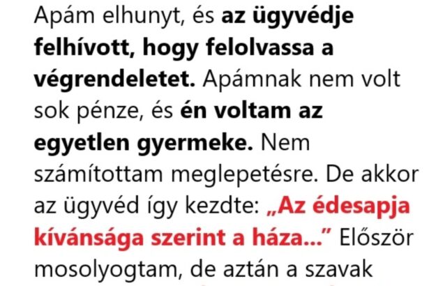 Emlékekkel teli ház: Apám utolsó meglepetése 01