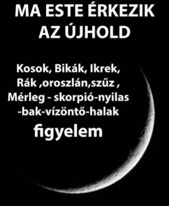 1000_dthsrtjzrs_20251221_085128