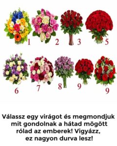 646872533_991779976845189_4729683092579917897_n