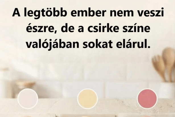 Meglepő, hogy a csirkehús színe és a minőség kapcsolata sokaknak még mindig zavaros meglep-hogy-a-csirkeh-s-sz-ne-s-a-min-s-g-kapcsolata-sokakna