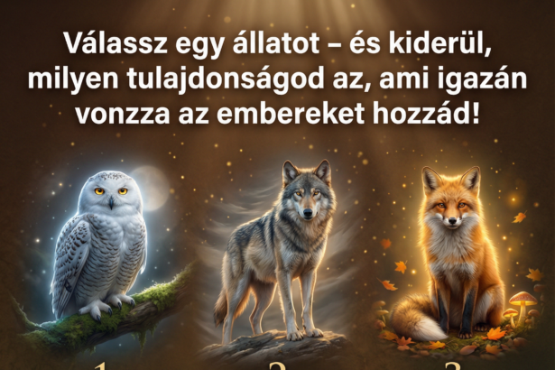 Válassz egy állatot – és kiderül, milyen tulajdonságod az, ami igazán vonzza az embereket hozzád! v-lassz-egy-llatot-s-kider-l-milyen-tulajdons-god-az-ami-iga