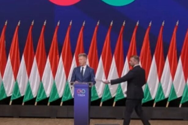 Drámai jelenetek Magyar Péter mai tájékoztatóján dr-mai-jelenetek-magyar-p-ter-mai-t-j-koztat-j-n