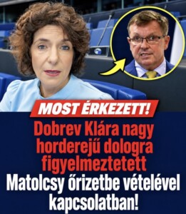 Dobrev Klára fontos dologra figyelmeztetett Matolcsy őrizetbe vételével kapcsolatban