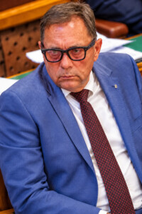 Felfüggesztették Pócs János mentelmi jogát – ilyen ügy áll a parlament döntése mögött
